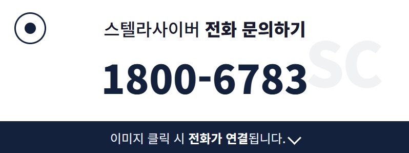 AI 네트워크 보안